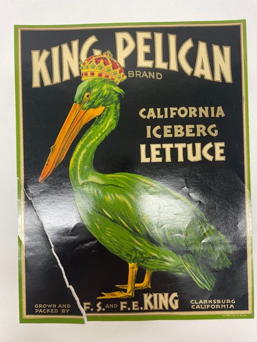 King pelican brand salatkisten - pelican,