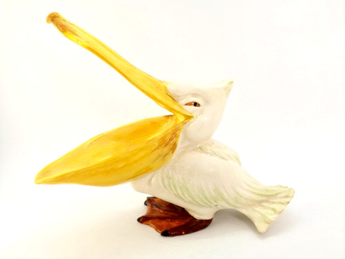 Wade seltene pelikan - wade,