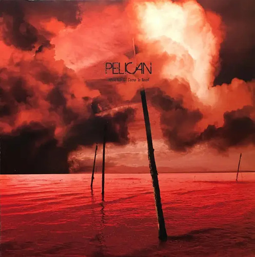2xlp pelican what all come - pelican,