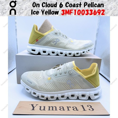 Cloud coast pelican ice - on,