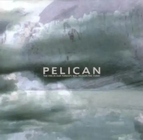 Pelican the fire in - the, our